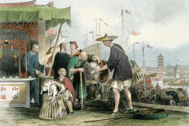 Mercanti di gatti cinesi, da 